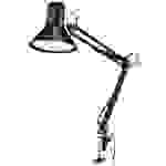Renkforce RF-5846468 Lampe LED à pince 9 W noir