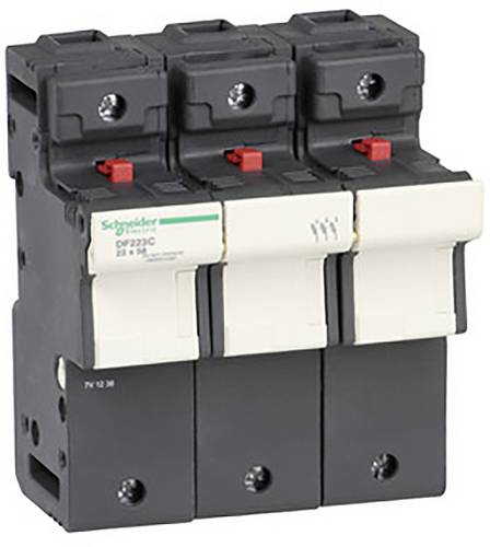 Schneider Electric DF223C Sicherungshalter 2 St.
