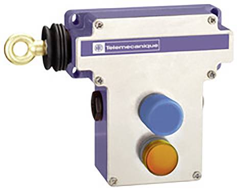 Schneider Electric Servomotor BMH0703T01F2A