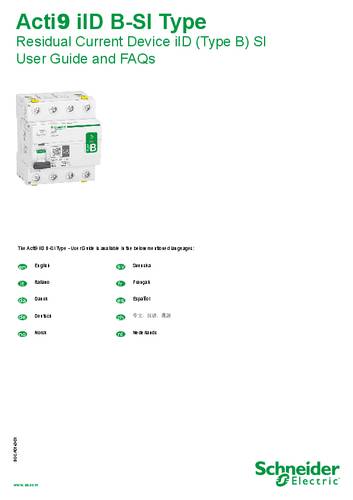 Schneider Electric A9Z51225 Fehlerstrom-Schutzschalter für Elektroladestation B 25A 0.03A