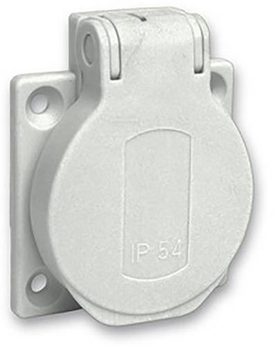 Schneider Electric PKS51G Einbaudose 2fach Steckdose 40 St.
