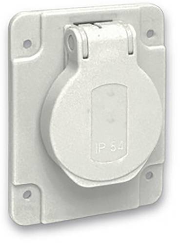 Schneider Electric PKS62G Einbaudose 1fach Steckdose 20 St.