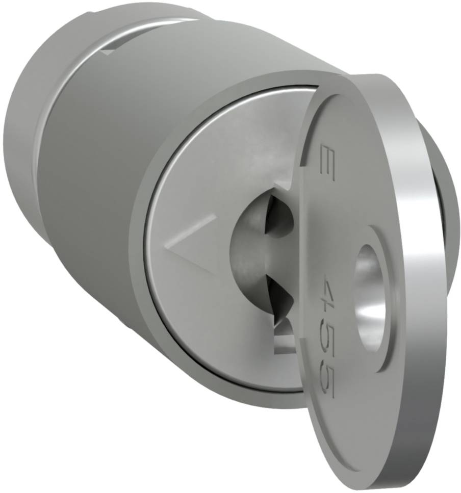 Schneider Electric LVS07941 Zylinderschloss 1St.