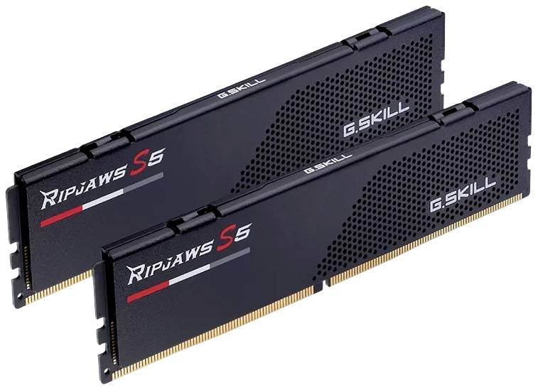 G.Skill F5-6000J3636F32GX2-RS5K PC-Arbeitsspeicher Modul DDR5 64GB 2 x 32GB 6000MHz F5-6000J3636F32GX2-RS5K
