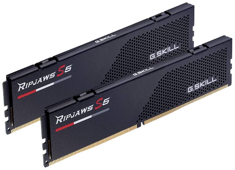 G.Skill F5-6000J3040G32GX2-RS5K PC-Arbeitsspeicher Modul DDR5 64 GB 2 x 32 GB 6000 MHz F5-6000J3040G32GX2-RS5K