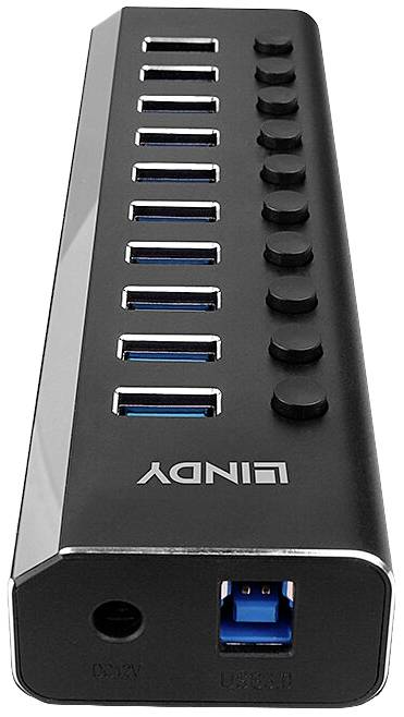 USB-Hub mit zehn Anschlüssen und individuellen Schaltern, hergestellt von Lindy. Ideal zur Erweiterung von USB-Anschlussmöglichkeiten.