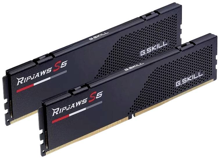 G.Skill F5-6400J3239G32GX2-RS5K PC-Arbeitsspeicher Modul DDR5 64GB 2 x 32GB 6400MHz F5-6400J3239G32GX2-RS5K