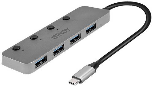 LINDY 43383 4 Port USB-C® (USB 3.2 Gen 2) Multiport Hub Grau