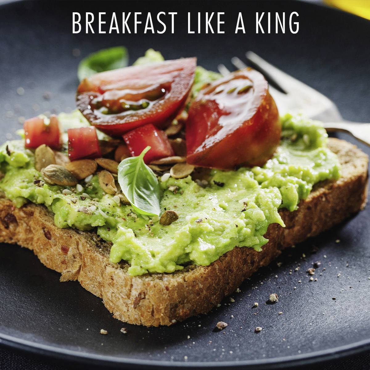 Trisa Royal Toast Toaster Edelstahl, Schwarz