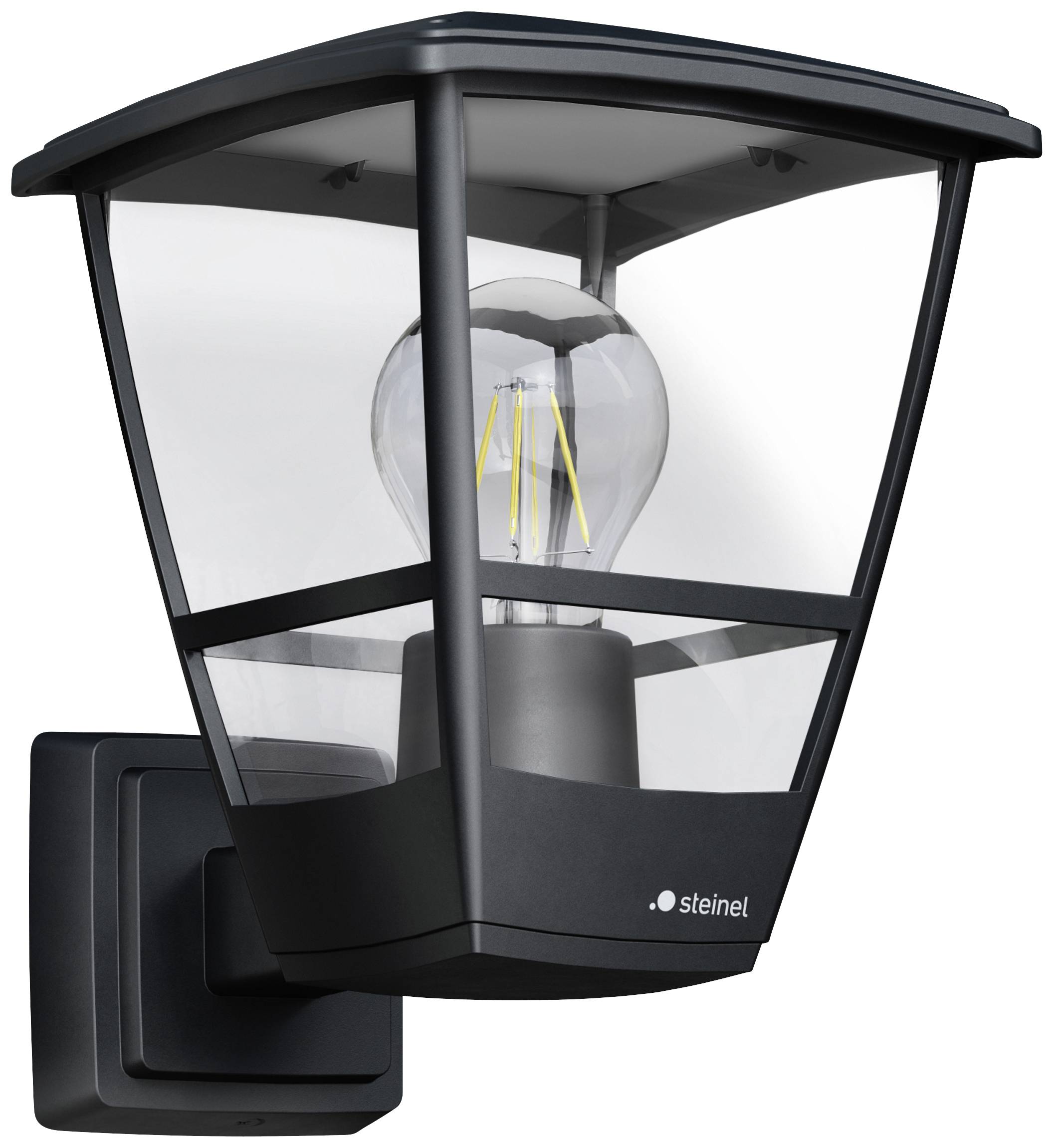 Schwarze Außenwandleuchte mit transparentem Gehäuse und sichtbarer Glühbirne, montiert an einer Hauswand.