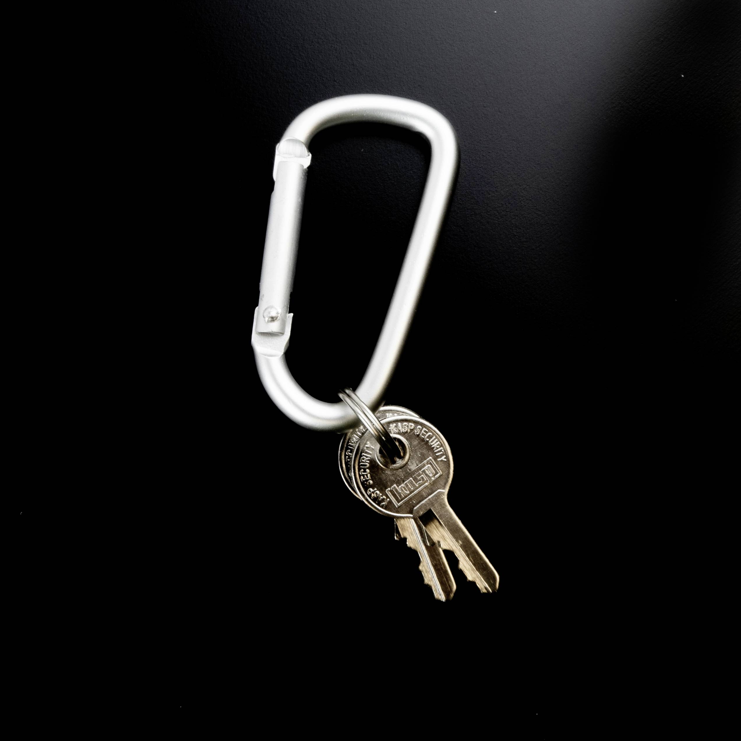 Kasp K81100 Verriegelungs-/Lockout-Set 145mm Messing, Silber Schlüsselschloss