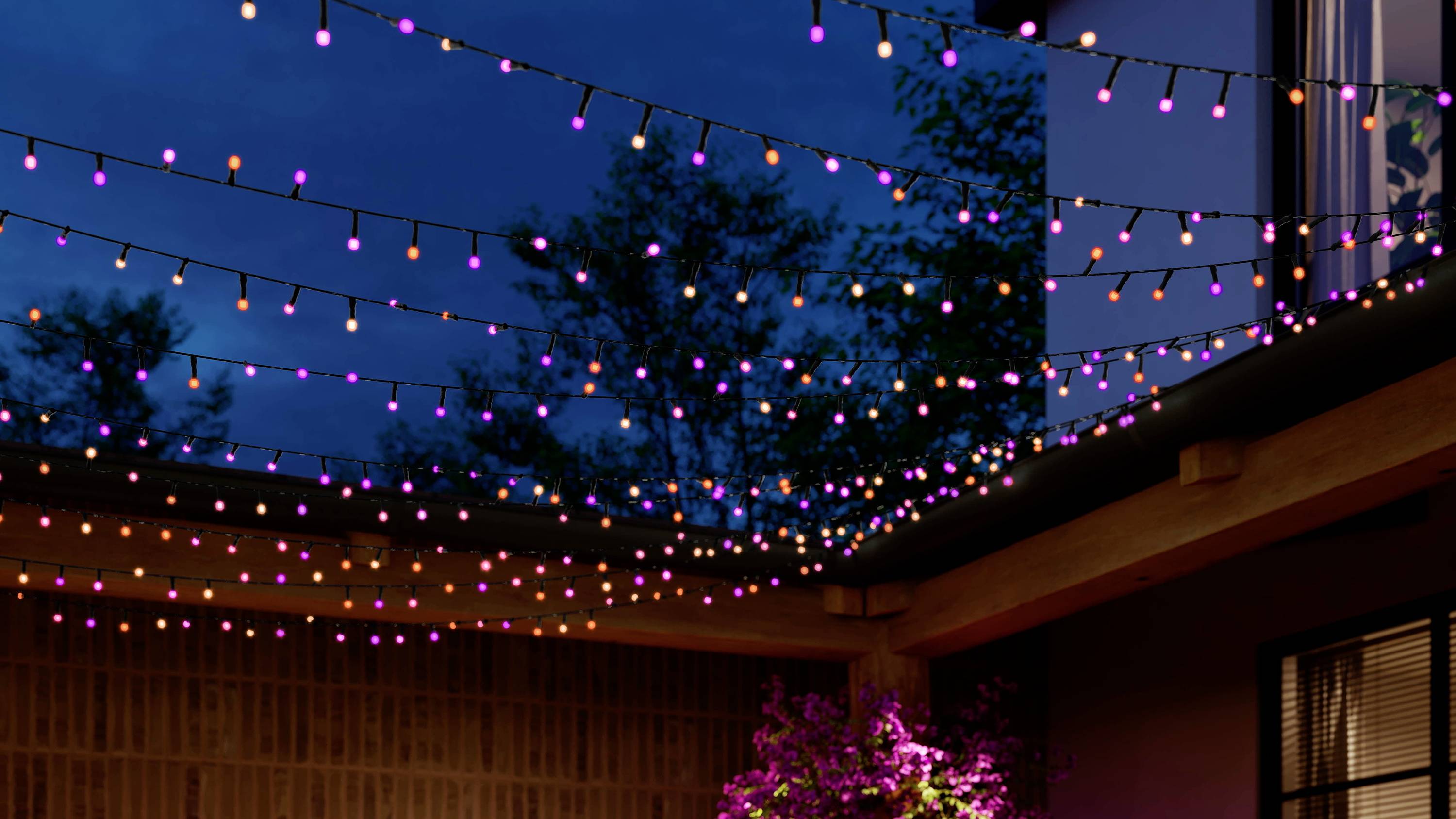 Philips Hue LED-Stripe 8720169246621 Hue Festavia