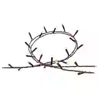 Philips Hue LED-Stripe 8720169246867 Hue Festavia Philips Hue LED-Stripe 8720169246867 Hue Festavia