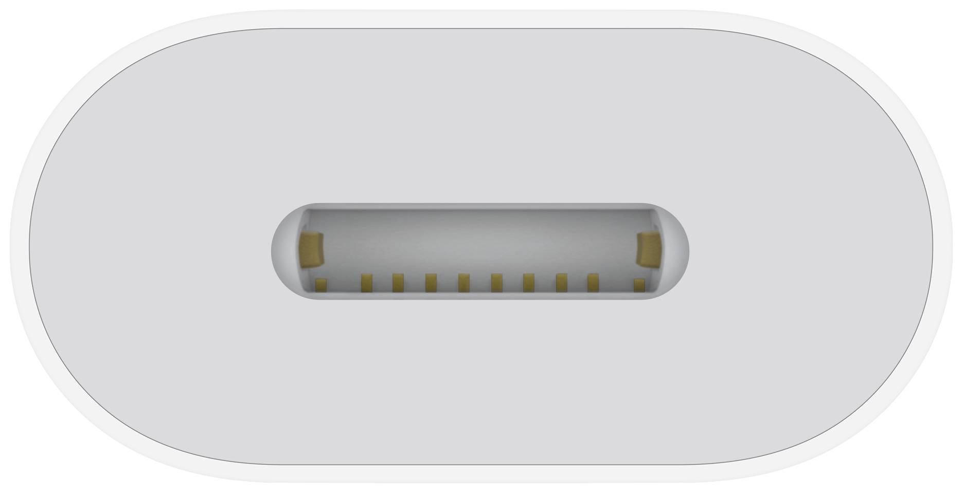 Ein USB-C-Anschluss von oben gesehen, zeigt die elliptische Form und die inneren Kontakte mit symmetrischer Anordnung.