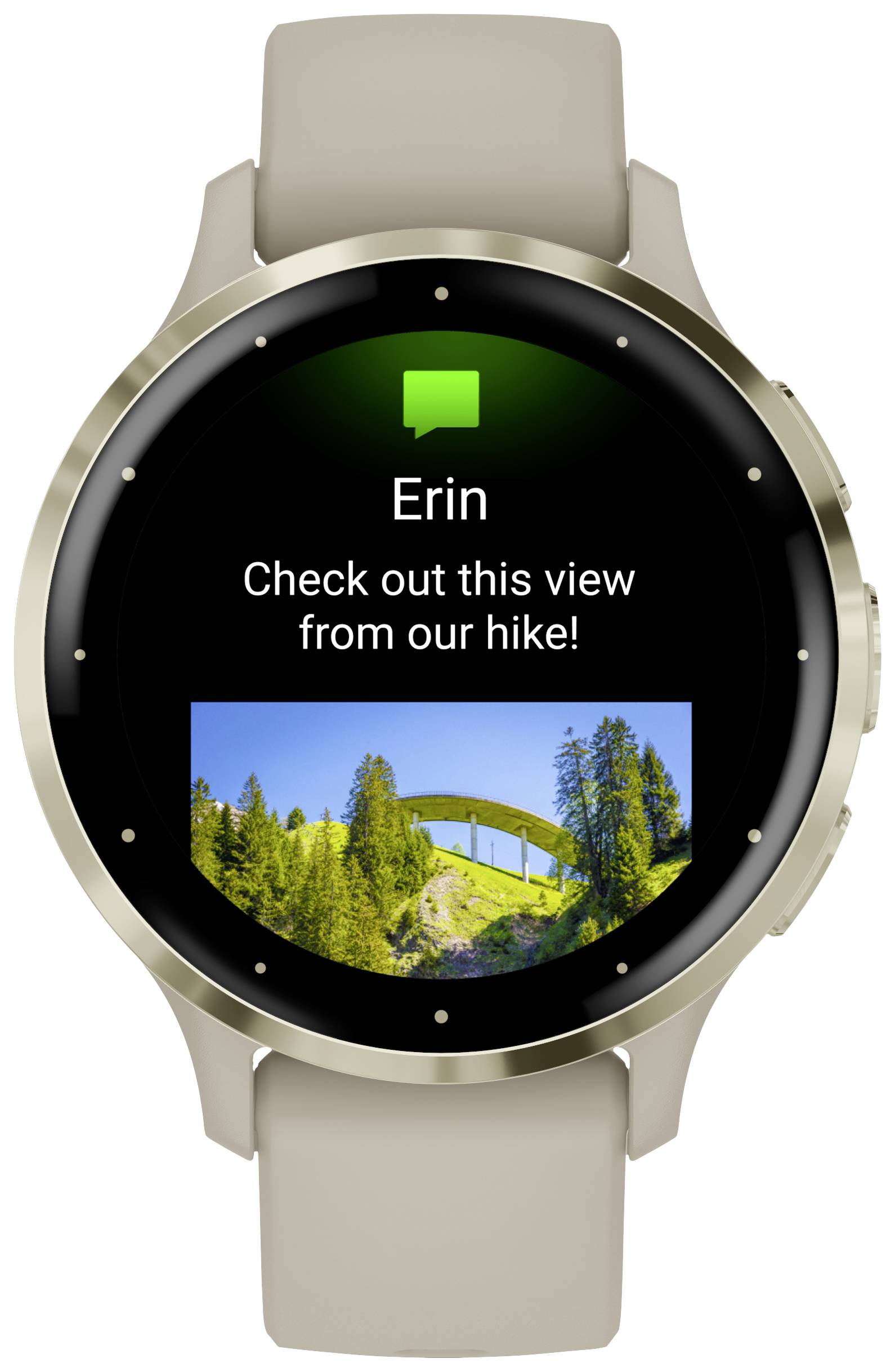 Garmin VENU® 3S Smartwatch Grau