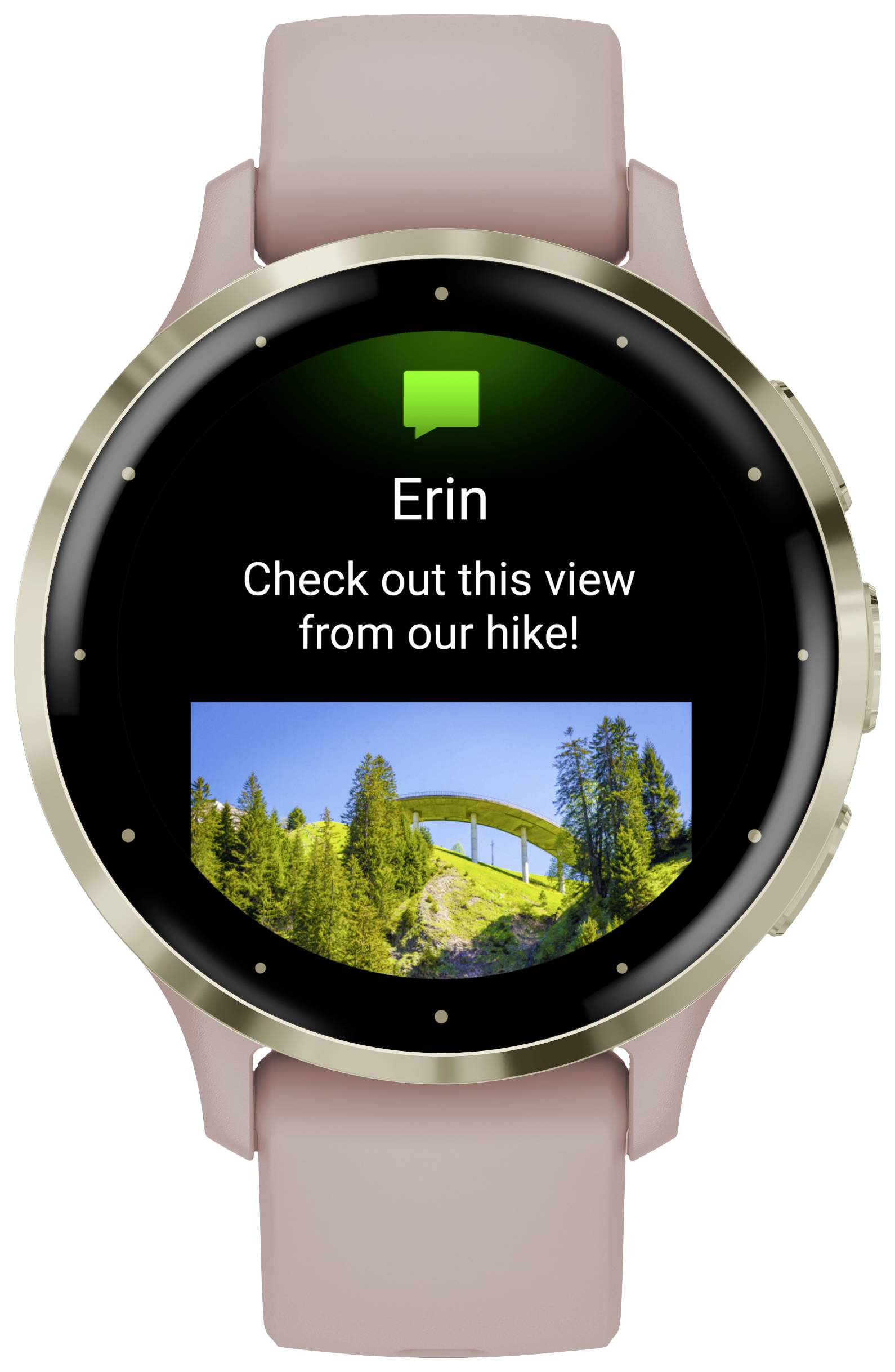 Garmin VENU® 3S Smartwatch Rose
