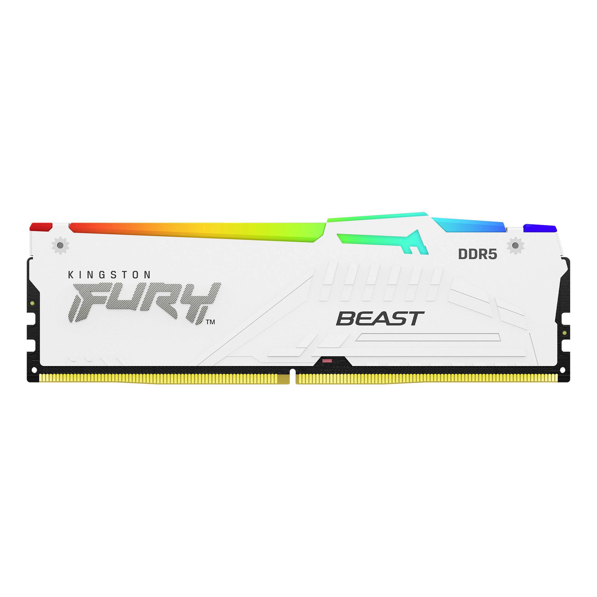 Kingston Beast White RGB XMP PC-Arbeitsspeicher Modul DDR5 64GB 4 x 16GB 6000MHz 288pin DIMM KF560C40BWAK4-64