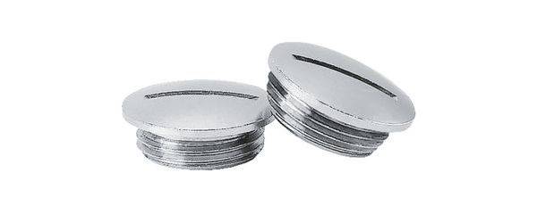 Zwei silberne Schraubstopfen aus Metall mit flachem Kopf liegen auf einer Oberfläche. Sie haben Gewinde und Schlitze für Schraubendreher.