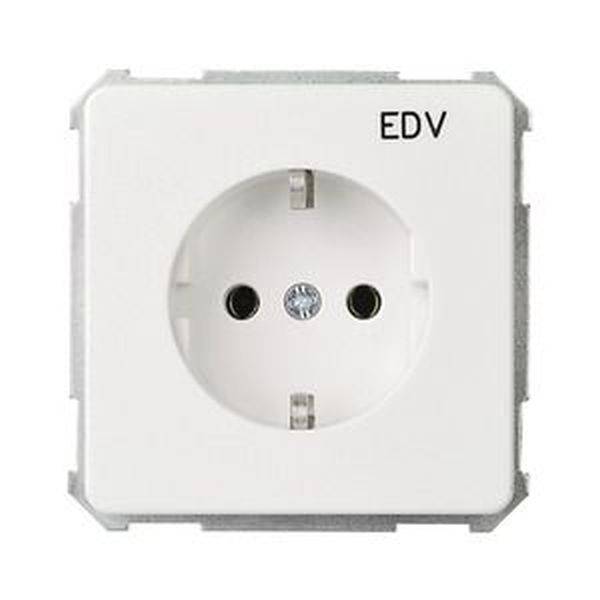 ELSO 205104 UP-Steckdoseneinsatz 205104 bedruckt EDV 16A reinweiß 10St.