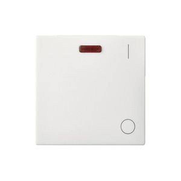 ELSO 273214 Wippe 273214 Kontrollaussch. 2polig reinweiß 10St.