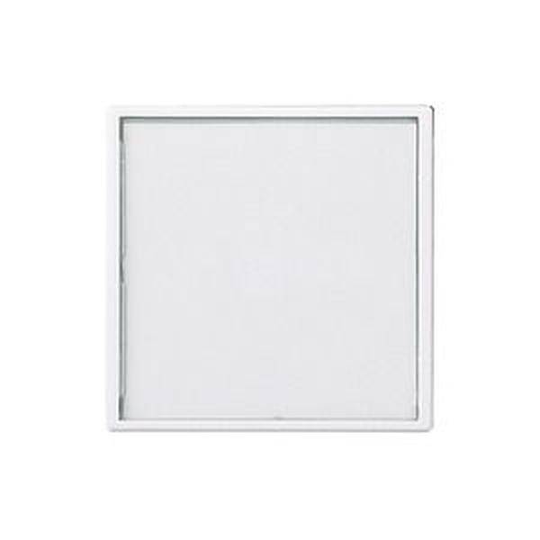 ELSO 373164 Wippe 373164 grossem 50x50mm JOY rw 10St.
