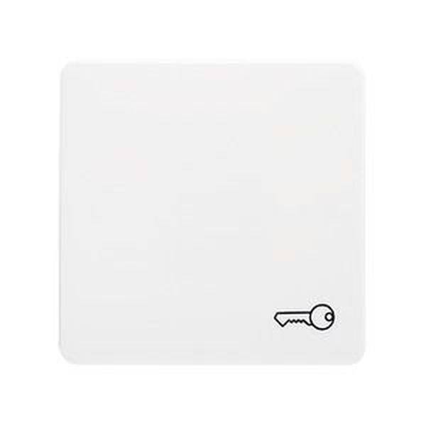 ELSO 213124 Wippe 213124 mit Symbol Schüssel reinweiß 10St.