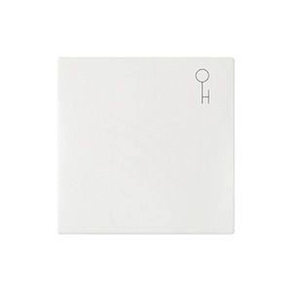 ELSO 273124 Wippe 273124 Symbol Schlüssel JOY rw 10St.