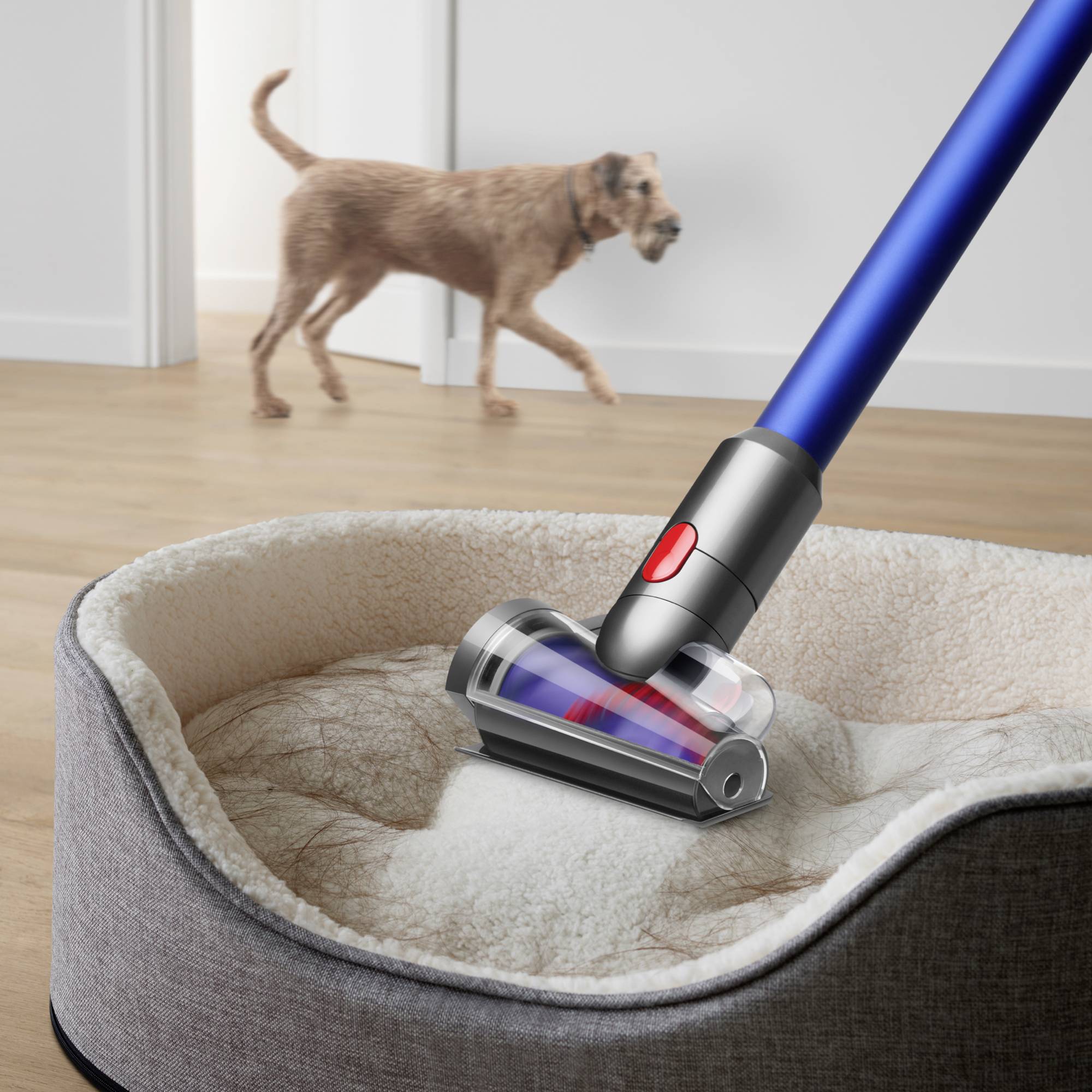 Ein Staubsaugeraufsatz reinigt ein Hundebett, während ein Hund im Hintergrund läuft.