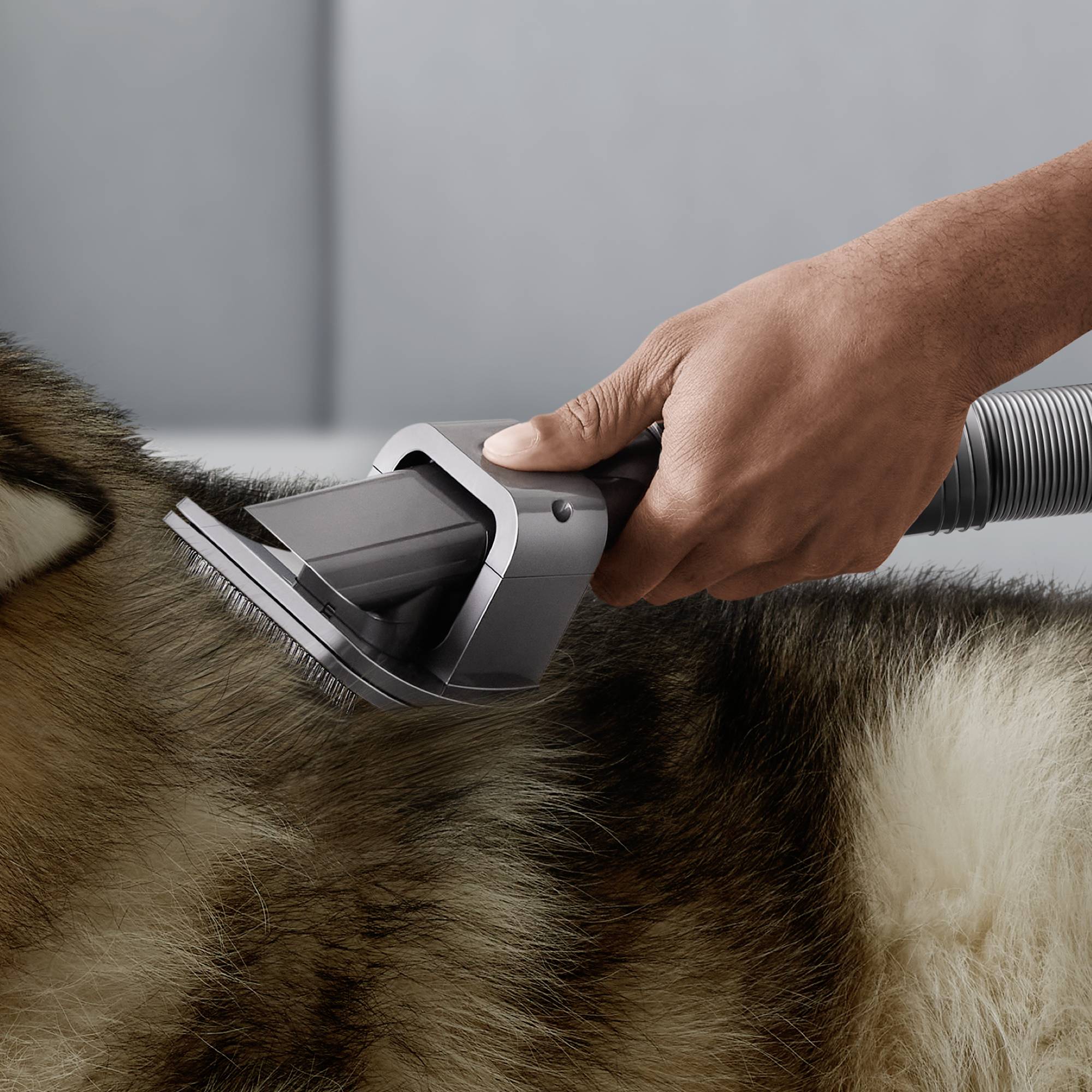 Dyson Haustierpflegeset V7, V8, V10, V11, V12, 972205-01 Staubsauger-Reingungsset