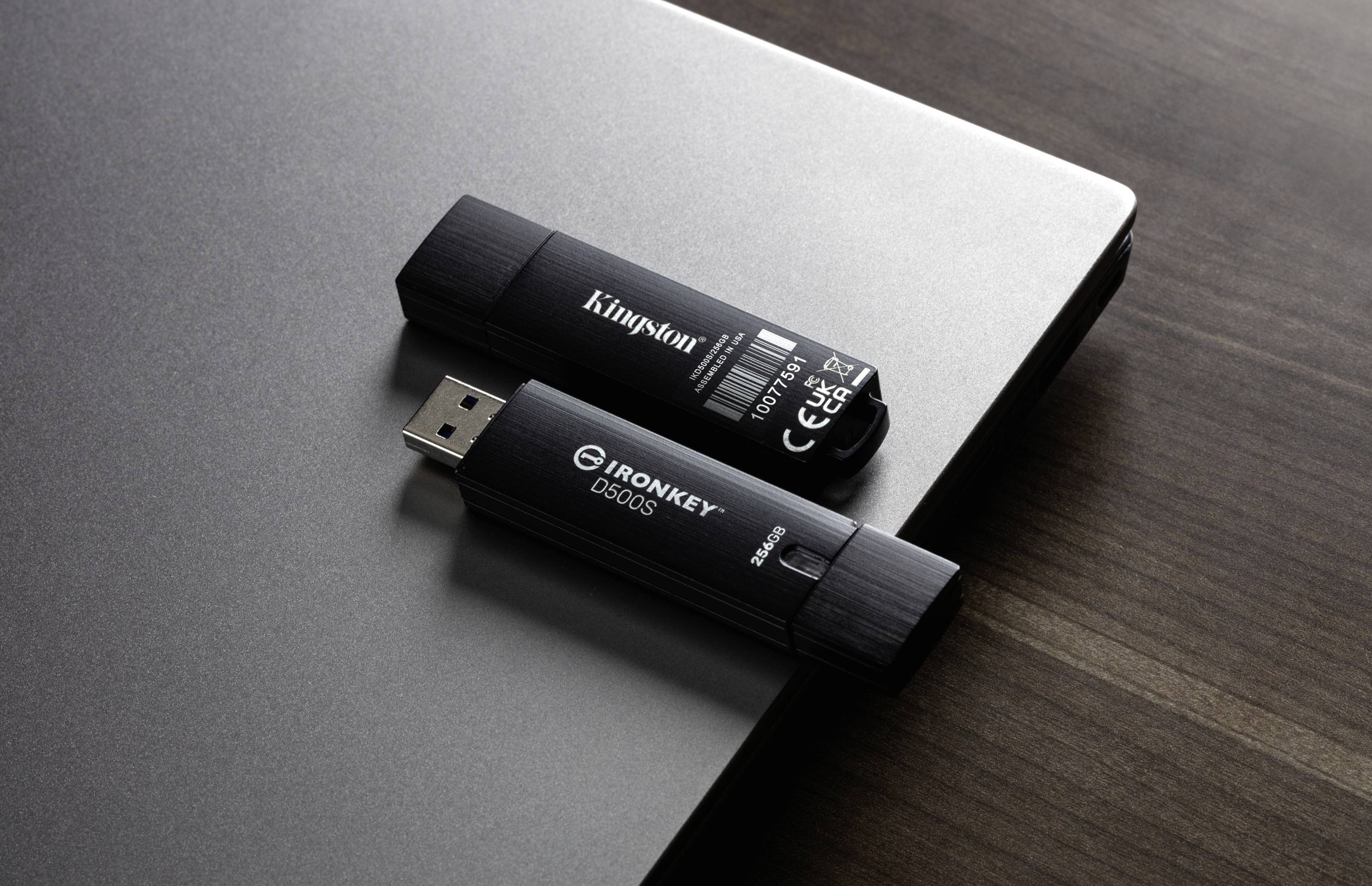 Kingston IronKey D500S USB-Stick 256 GB Schwarz IKD500S/256GB USB-A (USB 3.2 Gen 1)