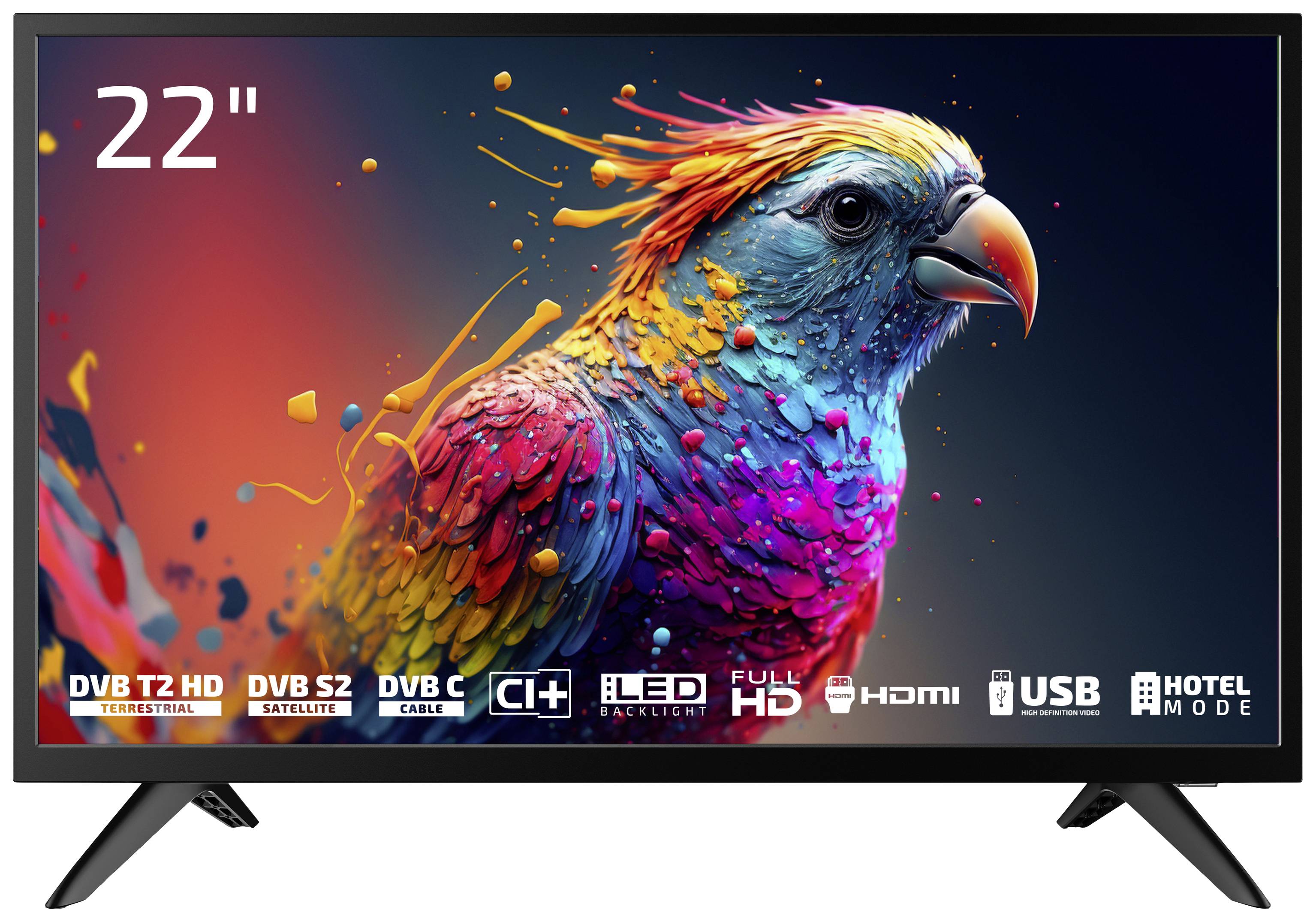 Dyon Enter 22 Pro X2 LED-TV 55 cm 22 Zoll EEK E (A - G) CI+, DVB-C, DVB-S2, DVB-T2, Full HD Schwarz