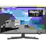 Reflexion LEDW19i+ LED-TV 47 cm 19 Zoll EEK E (A - G) CI+, DVB-C, DVB-T, DVB-T2, DVB-T2 HD, Full HD