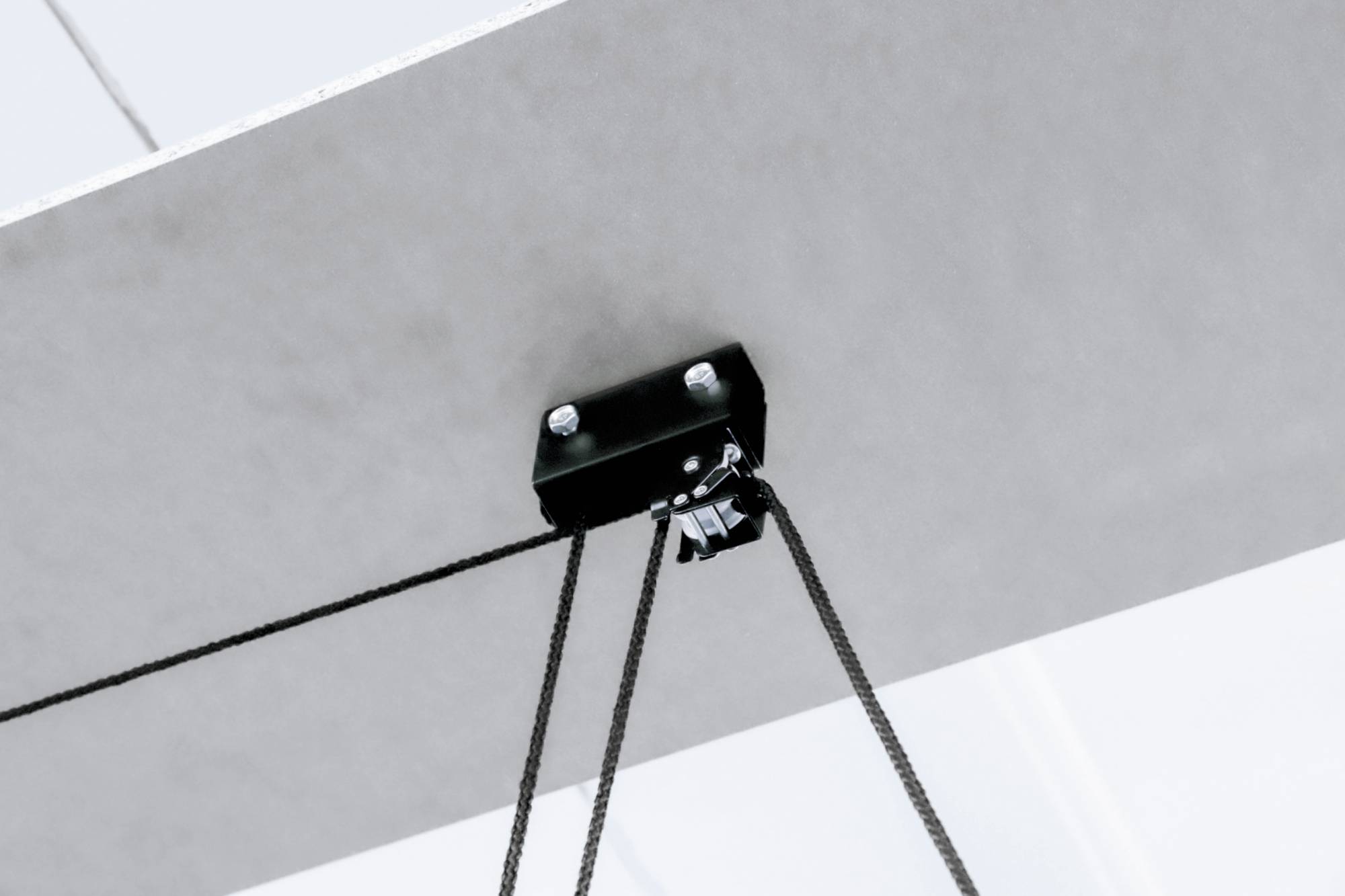 FISCHER FAHRRAD 50387 Deckenlift Anzahl Einstellplätze=1 Schwarz