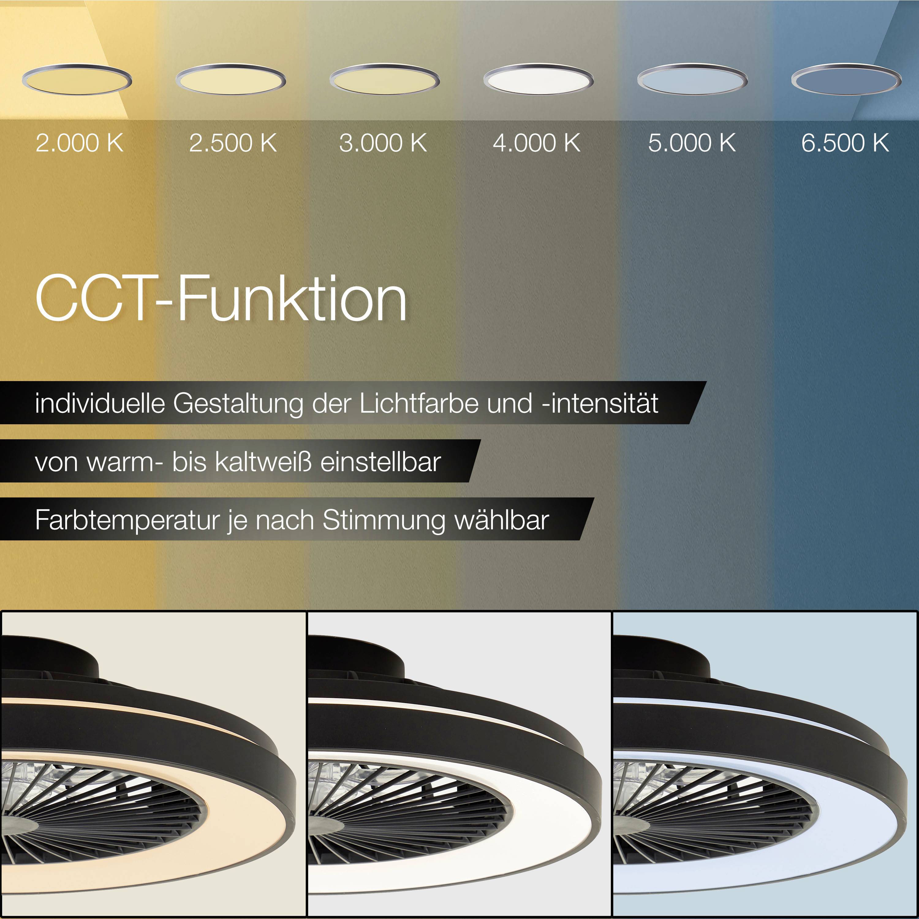 Brilliant G93854/06 Mazzaro LED-Deckenleuchte mit Ventilator LED EEK: E (A - G) 40W Schwarz