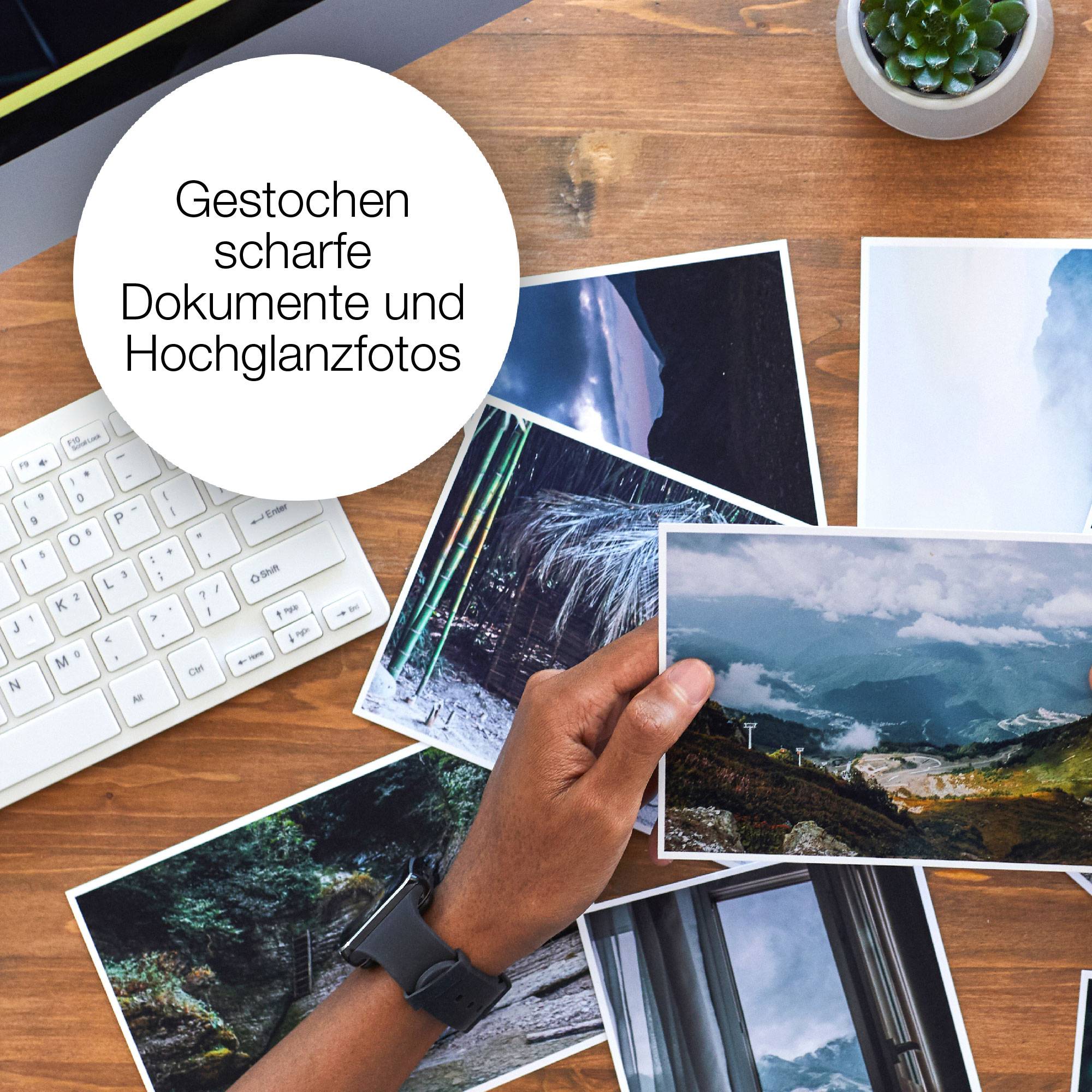 Epson Druckerpatrone T09R9, 503XL, 503 Original Kombi-Pack Color C13T09R94010