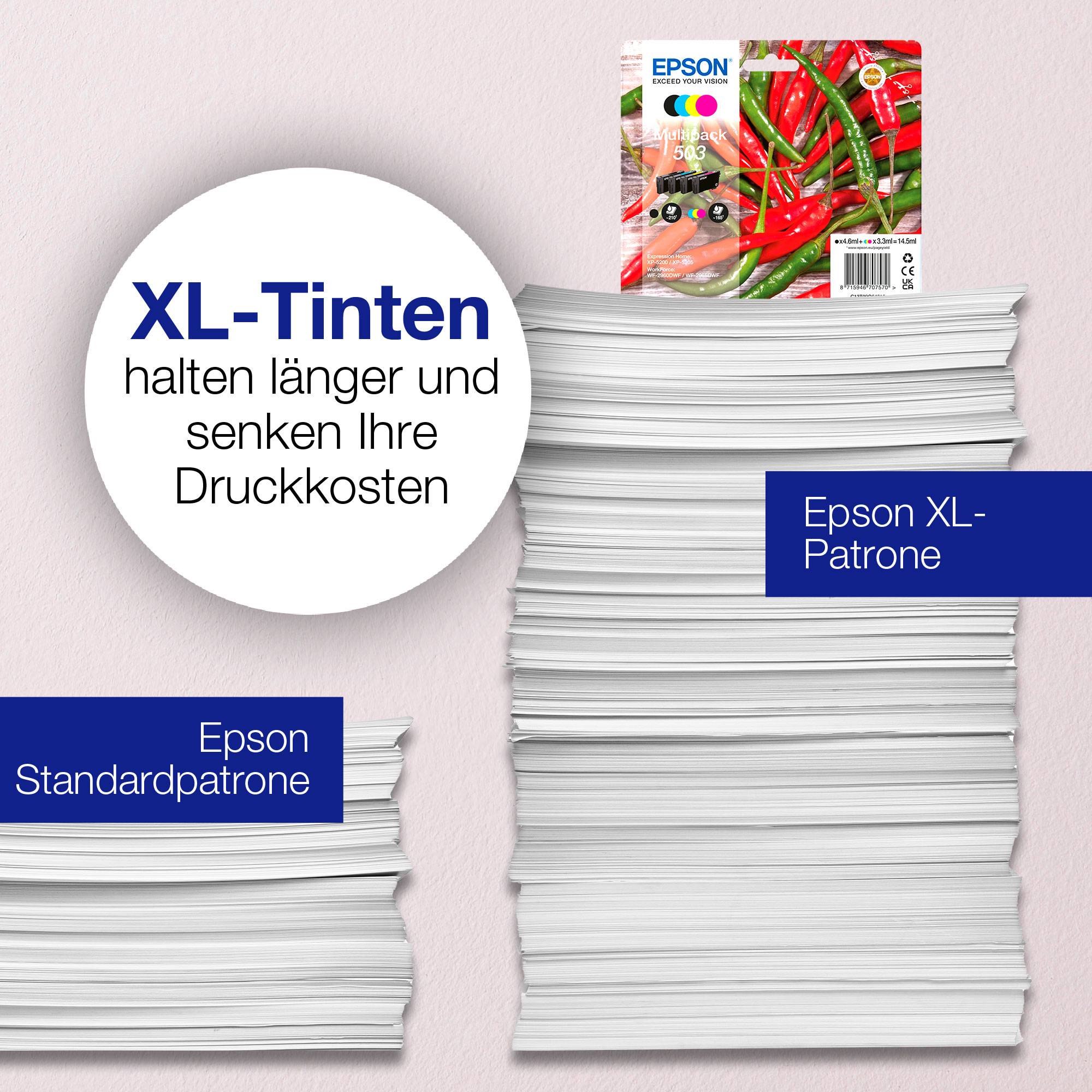 Epson Druckerpatrone T09R9, 503XL, 503 Original Kombi-Pack Color C13T09R94010