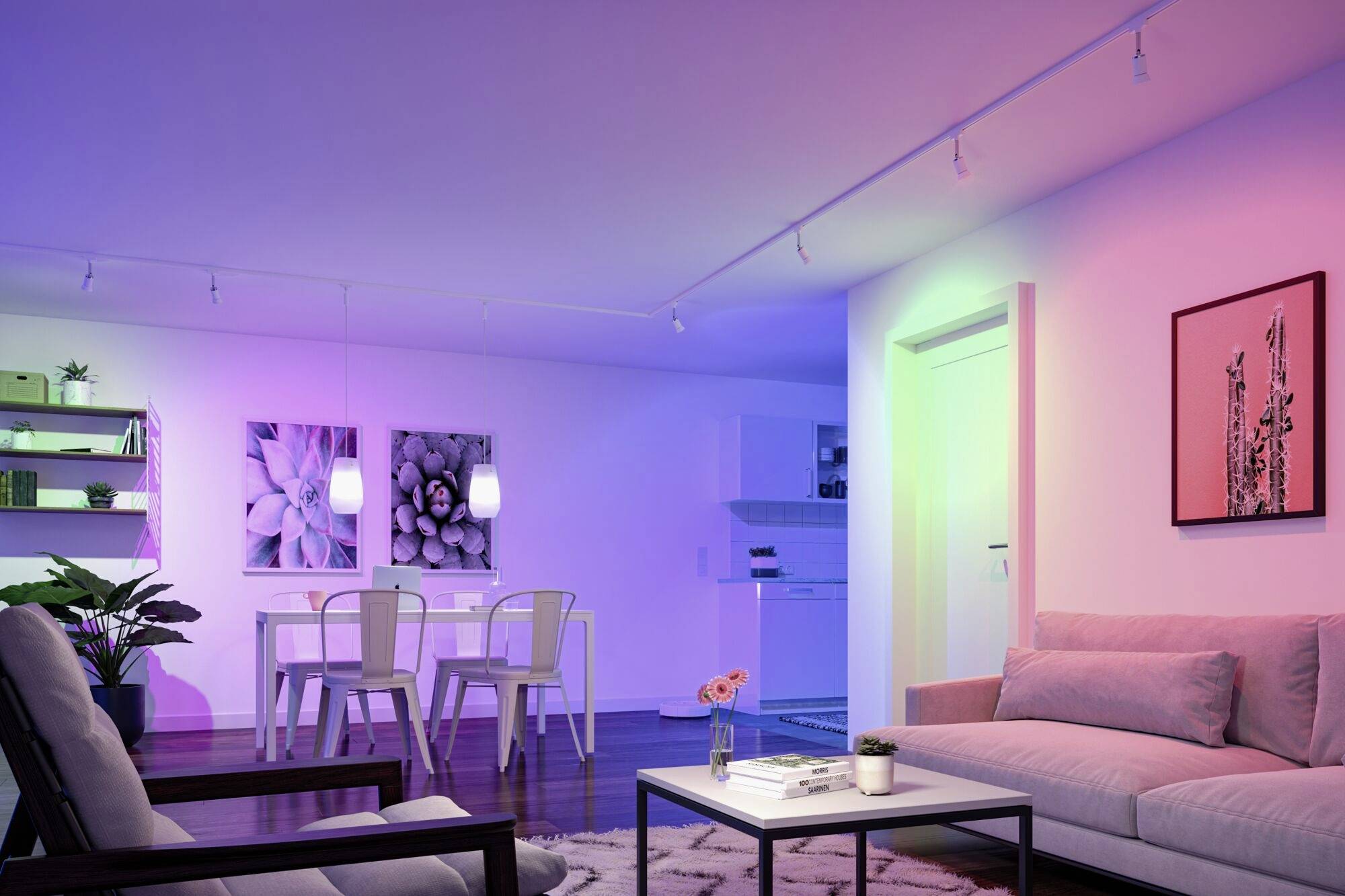 29146 Paulmann Home LED-Leuchtmittel E14 EEK: F (A - G) 5 W RGBW Matt