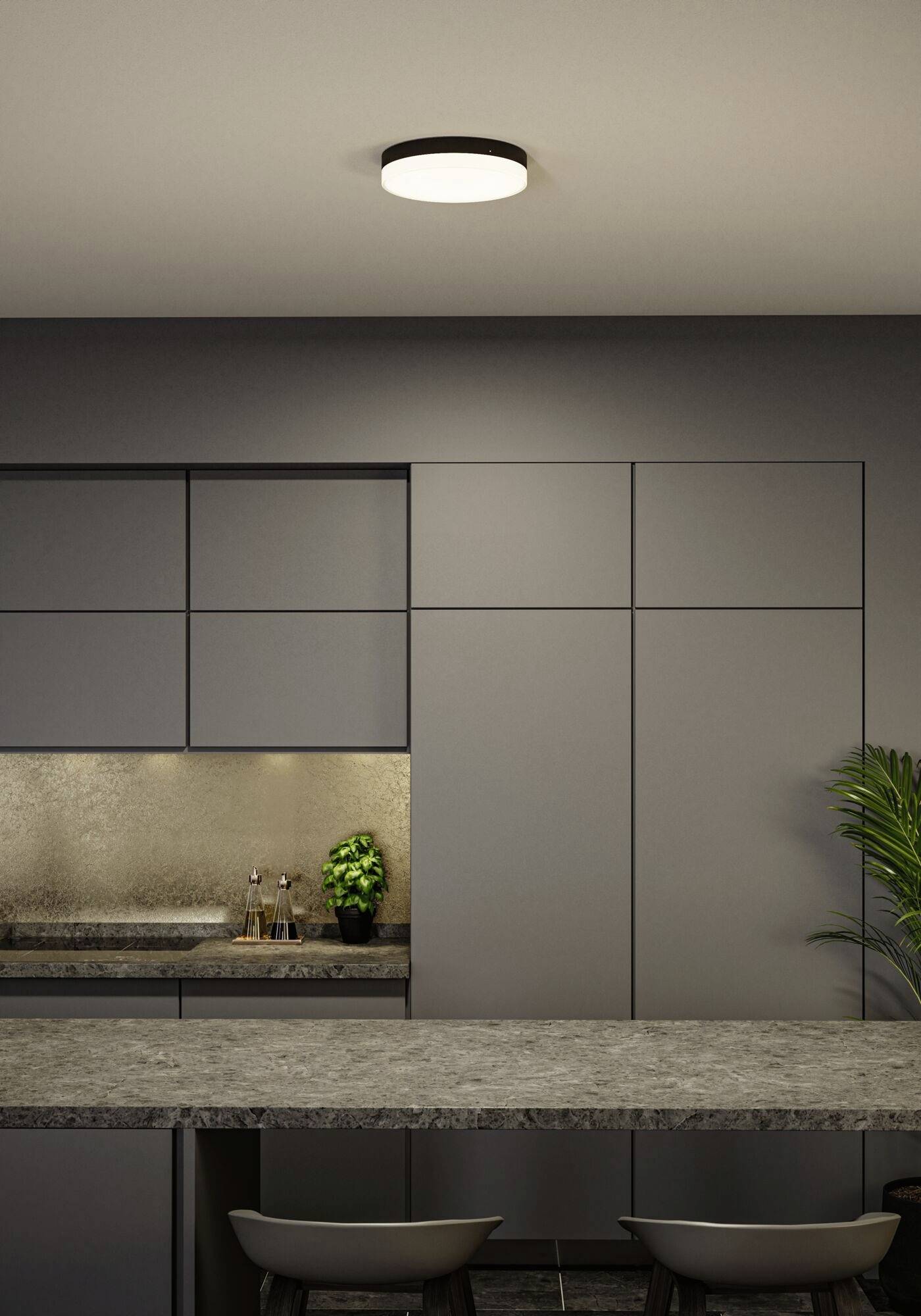 Paulmann 96778 Amalie LED-Deckenleuchte LED 16W Schwarz (matt)