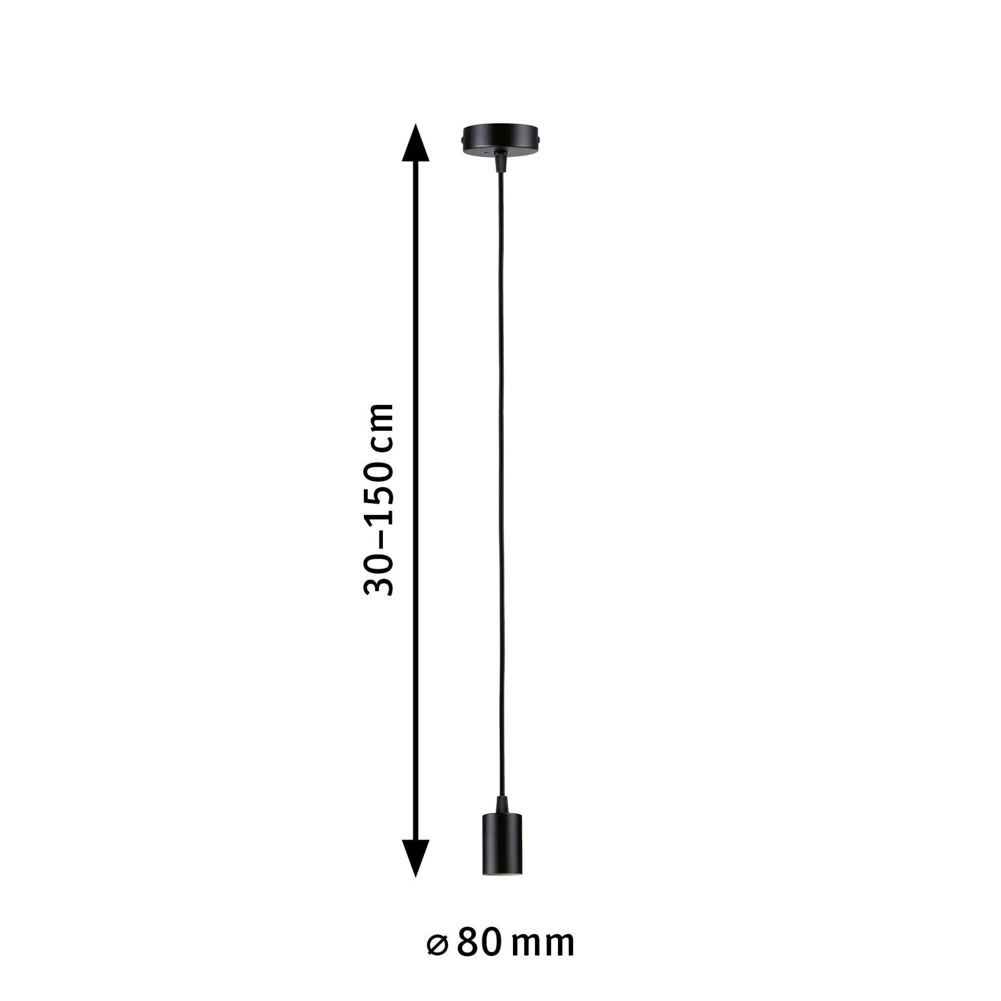 Paulmann 71136 Pendelleuchte E27 Schwarz (matt)
