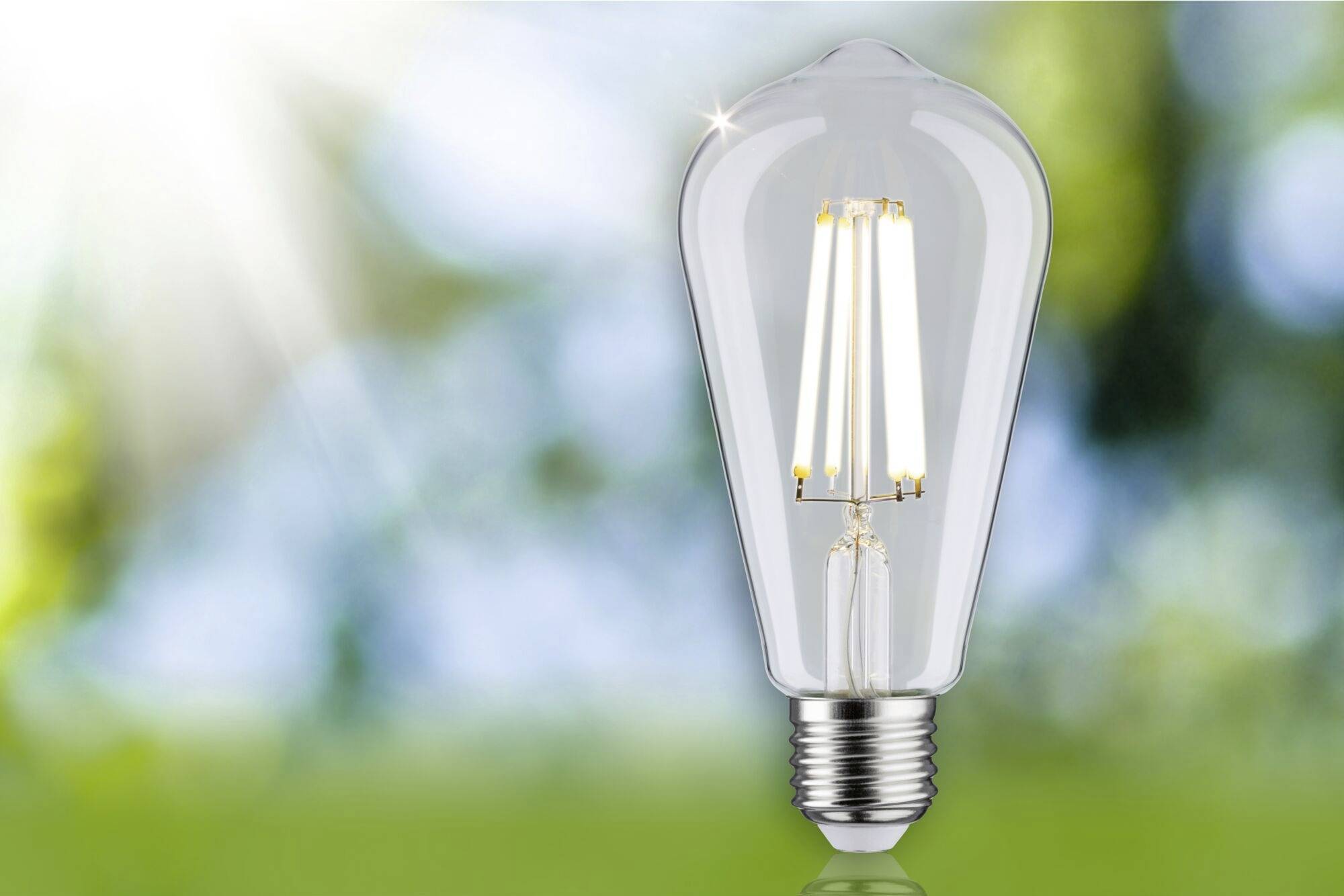 Eine Glühbirne leuchtet hell vor einem unscharfen Hintergrund mit natürlichem Tageslicht, symbolisiert Ideen und Innovation.