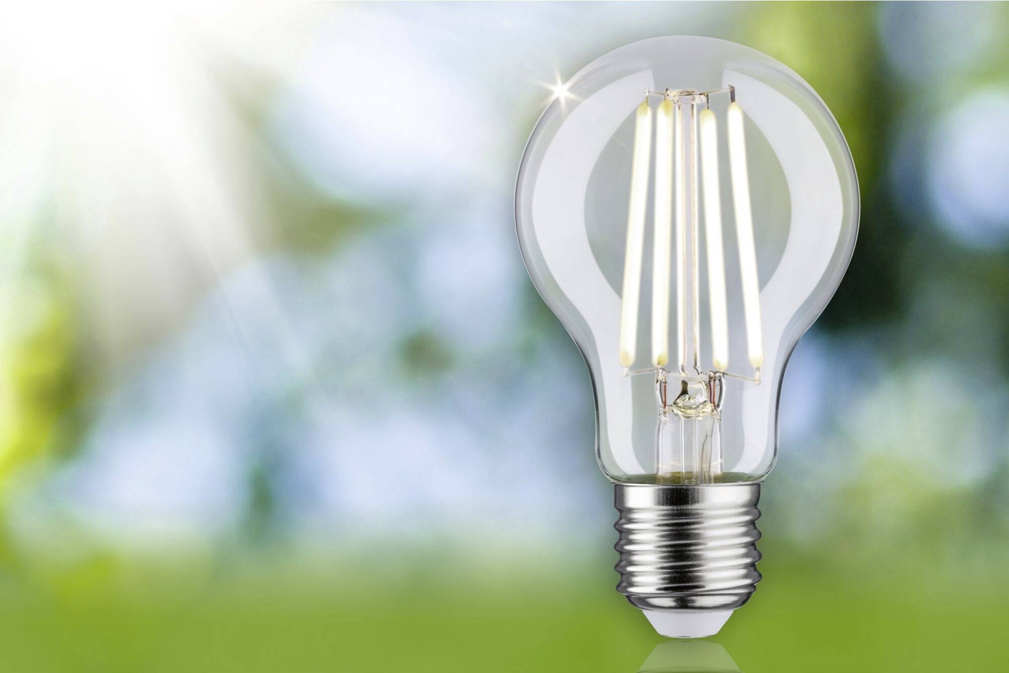 Glühbirne in hellem Sonnenlicht mit unscharfem, grünem Hintergrund. Symbolik für Energie, Innovation oder erneuerbare Energien.