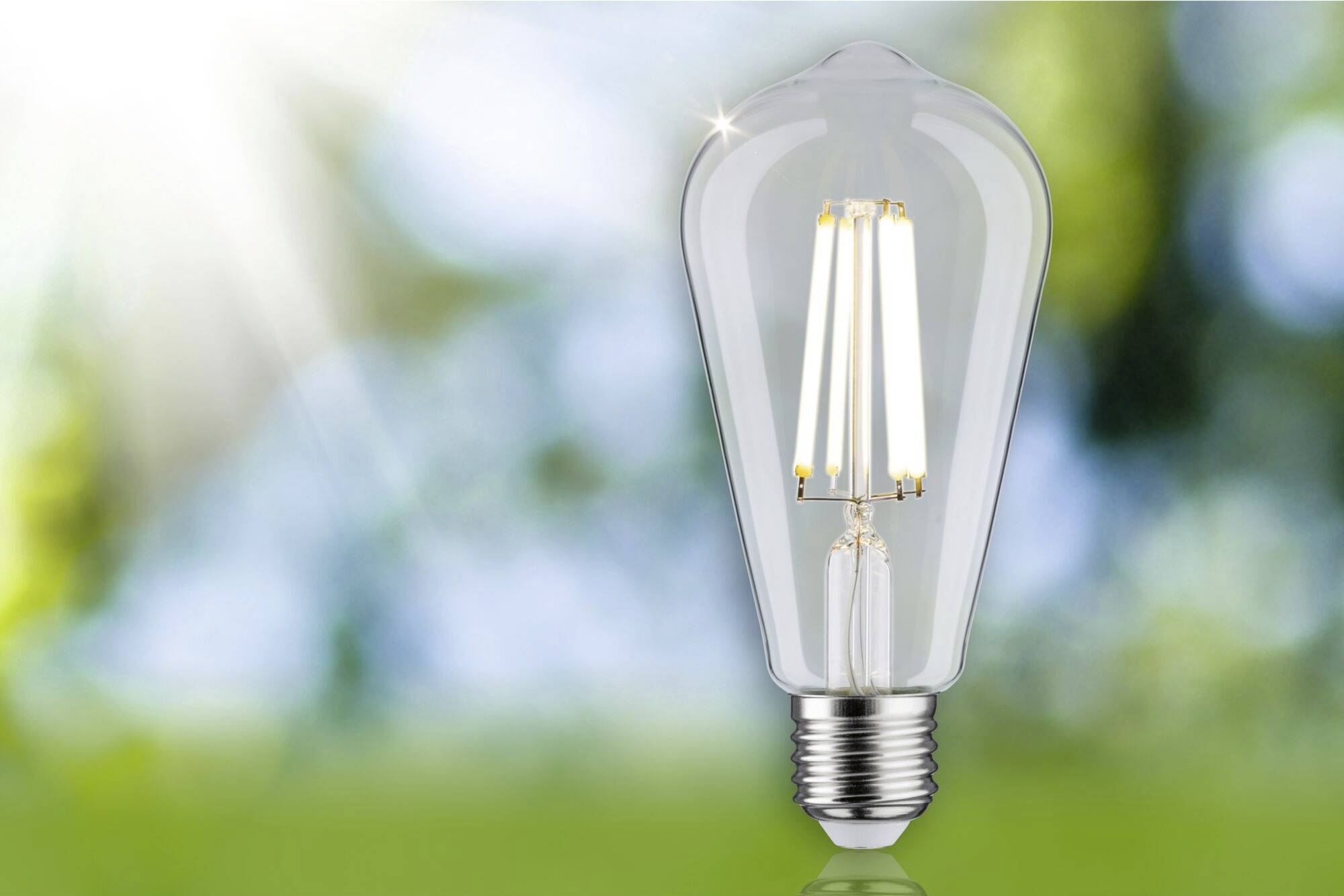 Glühbirne auf unscharfem Hintergrund bei Tageslicht; Symbol für Idee oder Energie.