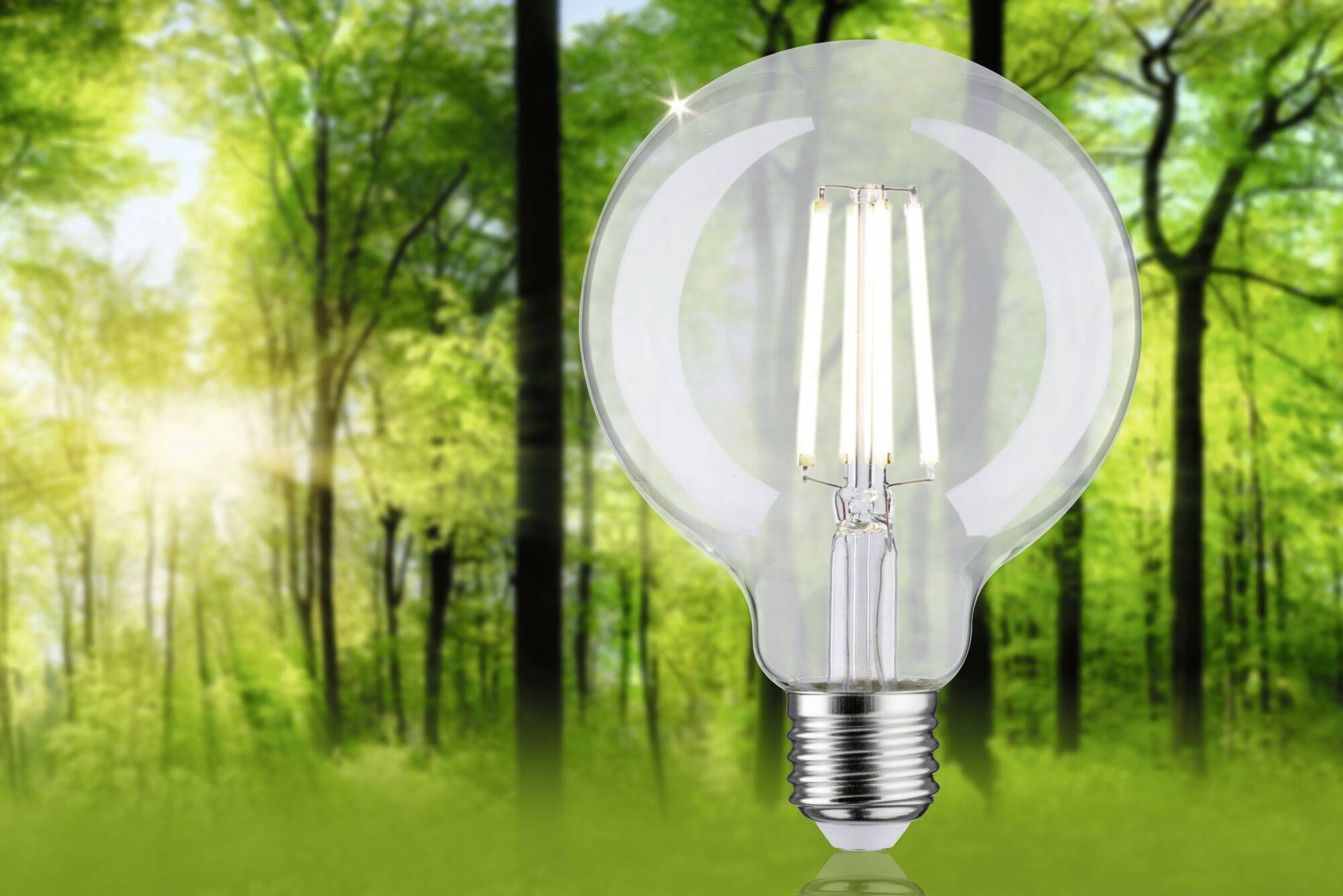 Glühbirne mit LED-Technik schwebt vor einem sonnendurchfluteten Wald, symbolisiert umweltfreundliche Energie und Naturverbundenheit.