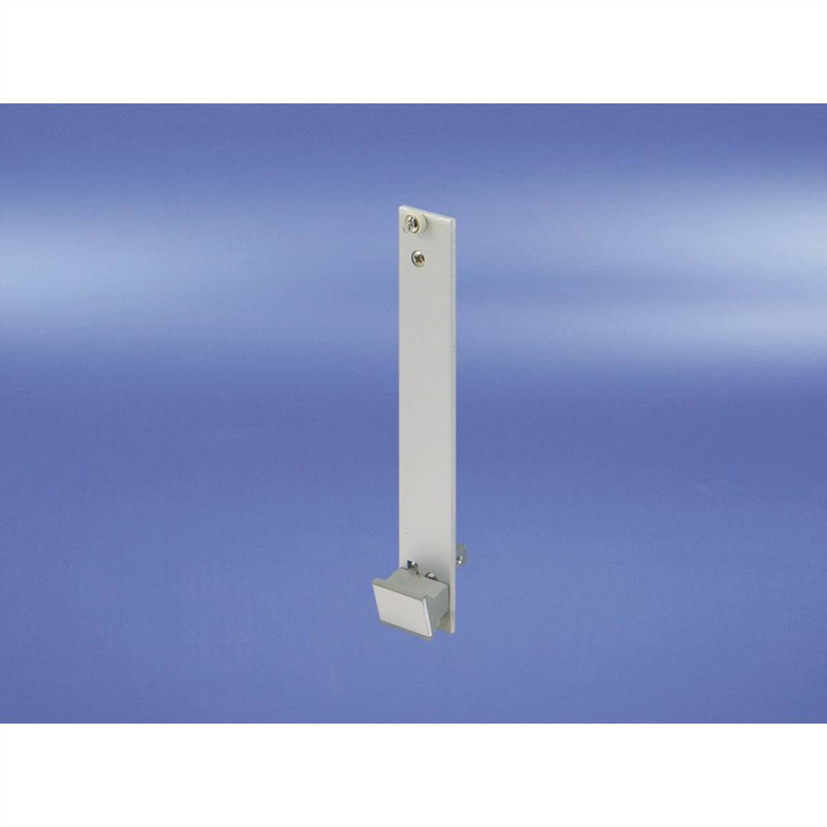 nVent SCHROFF 20817456 19 Zoll Baugruppenträger 4 St.