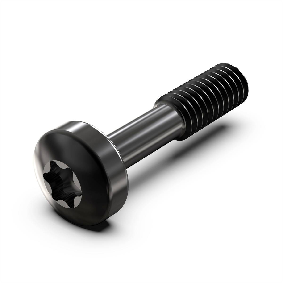 NVent SCHROFF 21101783 19 Zoll Montagematerial