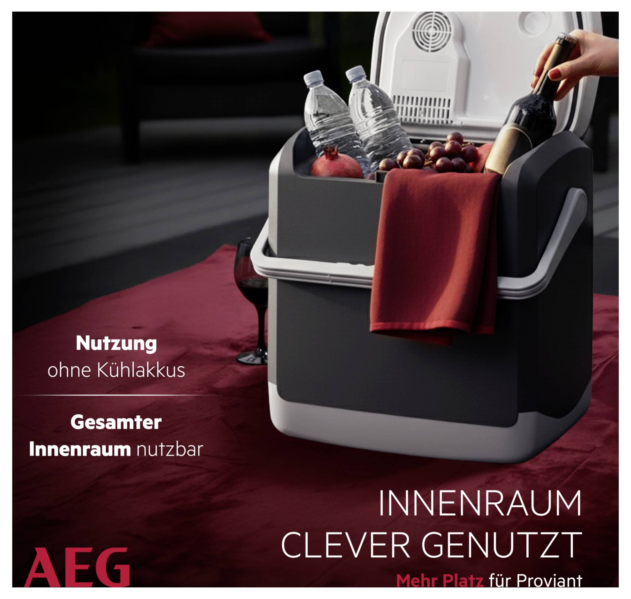 Ein tragbarer Kühlbox mit geöffnetem Deckel, der Flaschen, Trauben und Äpfel enthält. Text: „Nutzung ohne Kühlakkus