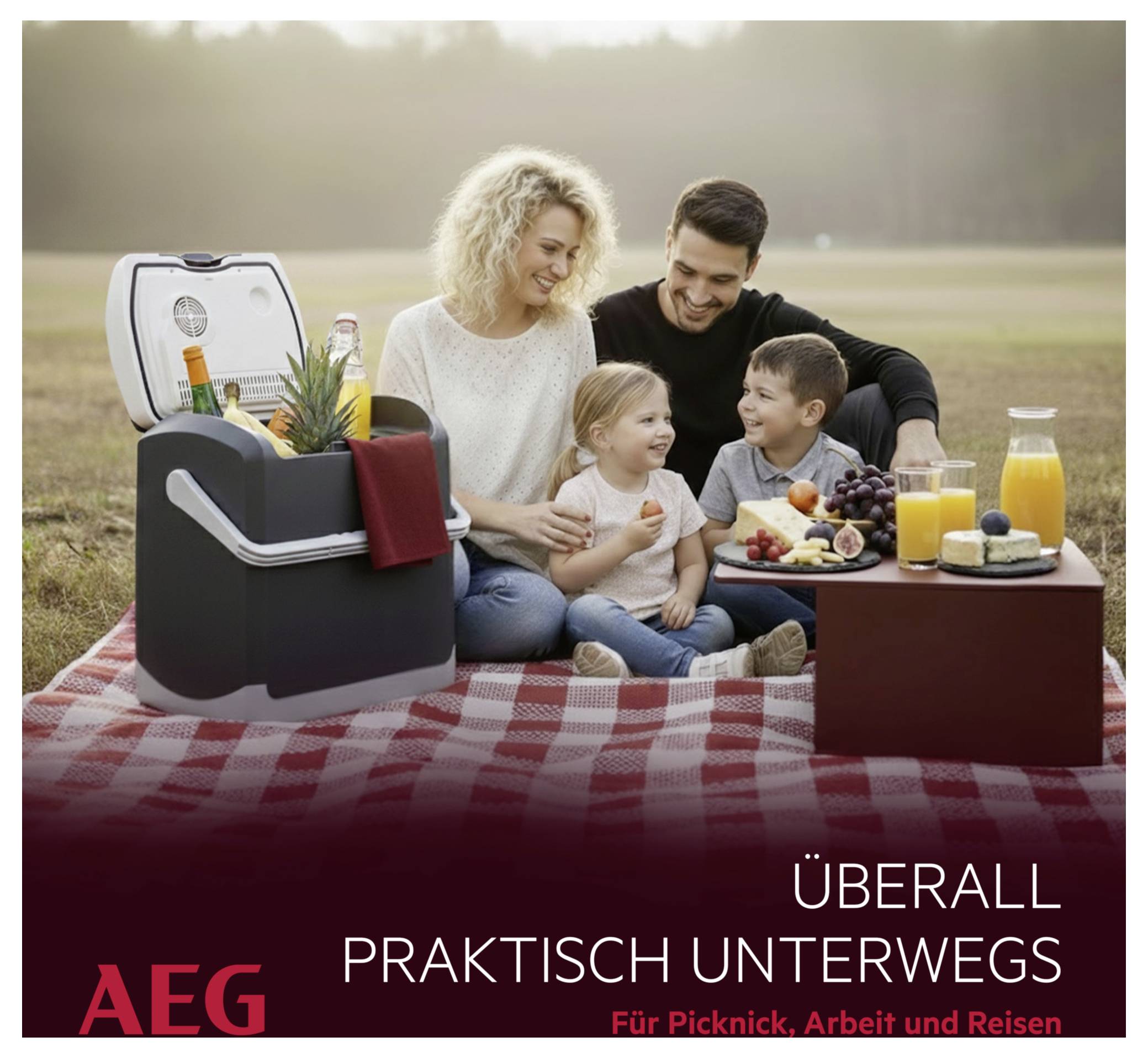 Eine vierköpfige Familie genießt ein Picknick auf einer roten karierten Decke mit einer tragbaren Kühlbox, umgeben von Essen und Getränken, im Freien.
