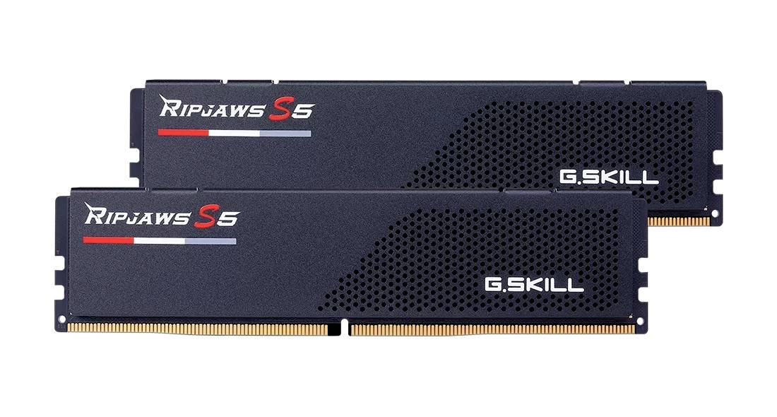 G.Skill F5-6800J3446F24GX2-RS5K PC-Arbeitsspeicher Modul DDR5 48GB 2 x 24GB 6800MHz F5-6800J3446F24GX2-RS5K