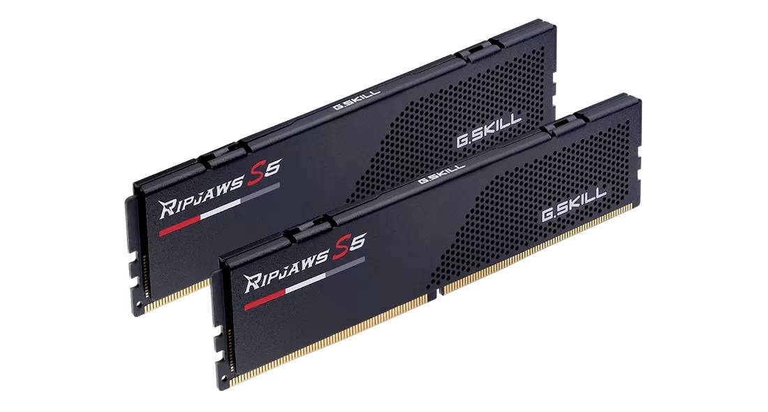 G.Skill F5-6800J3446F24GX2-RS5K PC-Arbeitsspeicher Modul DDR5 48GB 2 x 24GB 6800MHz F5-6800J3446F24GX2-RS5K