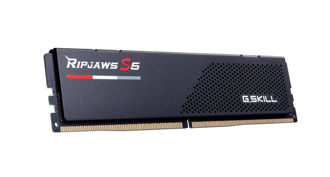 G.Skill F5-6800J3446F24GX2-RS5K PC-Arbeitsspeicher Modul DDR5 48GB 2 x 24GB 6800MHz F5-6800J3446F24GX2-RS5K
